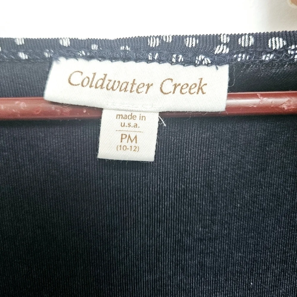 Vintage Coldwater Creek Iron free Empire Waist maxi Flowy Polka sz M 90s Dress - Picture 3 of 11